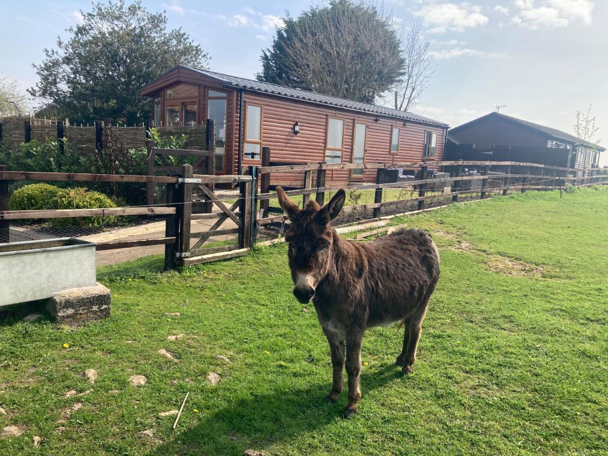 Rew Farm Country And Equestrian Accommodation - Sunset Lodge Melksham Dış mekan fotoğraf